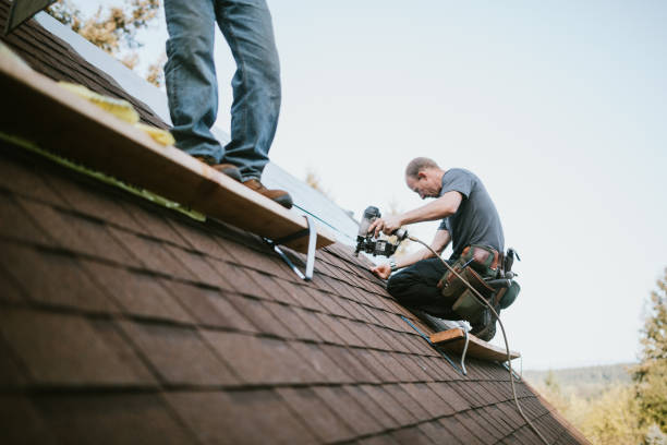 Best Roof Repair Services  in Mission, KS